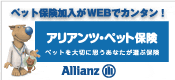 �E�C���^�[�^�C���L�����y�[��