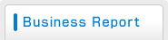 Business report