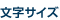 �����T�C�Y