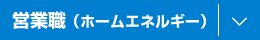 �c�ƐE�i�z�[���G�l���M�[�j