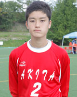 �H�c���I����\�@���c�ˑ��I��